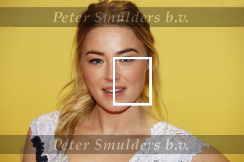 Amsterdam 12 februari 2018
Premiere Gek van Oranje in Tuschinski. jan Versteegh en Geraldine Kemper