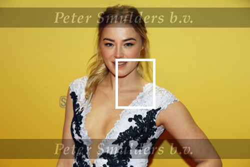 Amsterdam 12 februari 2018
Premiere Gek van Oranje in Tuschinski. jan Versteegh en Geraldine Kemper