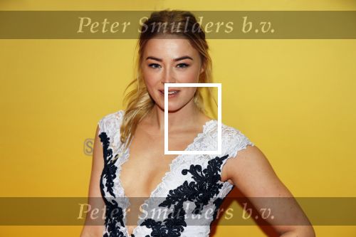 Amsterdam 12 februari 2018
Premiere Gek van Oranje in Tuschinski. jan Versteegh en Geraldine Kemper