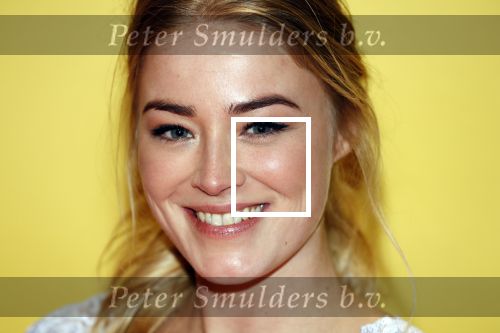 Amsterdam 12 februari 2018
Premiere Gek van Oranje in Tuschinski. jan Versteegh en Geraldine Kemper