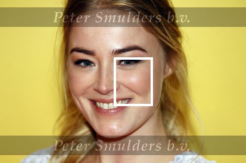 Amsterdam 12 februari 2018
Premiere Gek van Oranje in Tuschinski. jan Versteegh en Geraldine Kemper