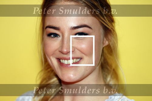 Amsterdam 12 februari 2018
Premiere Gek van Oranje in Tuschinski. jan Versteegh en Geraldine Kemper