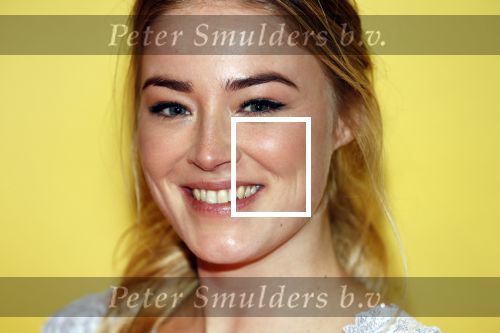 Amsterdam 12 februari 2018
Premiere Gek van Oranje in Tuschinski. jan Versteegh en Geraldine Kemper