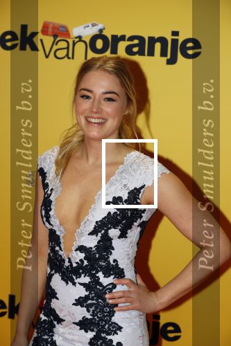 Amsterdam 12 februari 2018
Premiere Gek van Oranje in Tuschinski. jan Versteegh en Geraldine Kemper