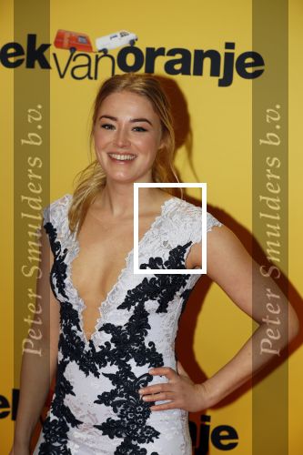 Amsterdam 12 februari 2018
Premiere Gek van Oranje in Tuschinski. jan Versteegh en Geraldine Kemper