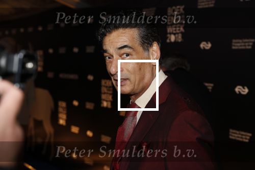Amsterdam 9 maart 2018 
Boekenbal 2018 in de schouwburg van Amsterdam. Gerard Spong