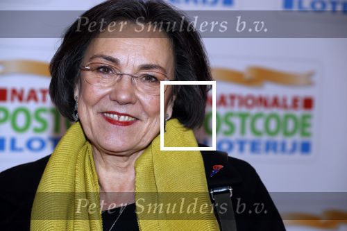 Amsterdam 15 februari 2018
Goed geld gala van de postcodeloterij in carre met als speciale gasten Rafael Nadal met vrouw en Leonardo de Caprio. Gerdi Verbeet
