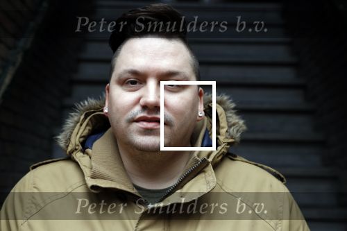 Den Haag 1 februari 2018
Gerrit Beljaards