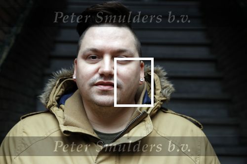 Den Haag 1 februari 2018
Gerrit Beljaards