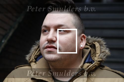 Den Haag 1 februari 2018
Gerrit Beljaards