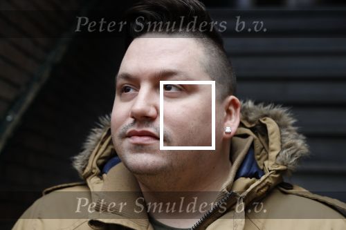 Den Haag 1 februari 2018
Gerrit Beljaards