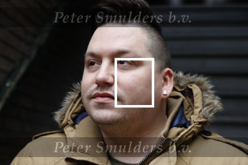 Den Haag 1 februari 2018
Gerrit Beljaards