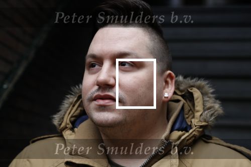 Den Haag 1 februari 2018
Gerrit Beljaards