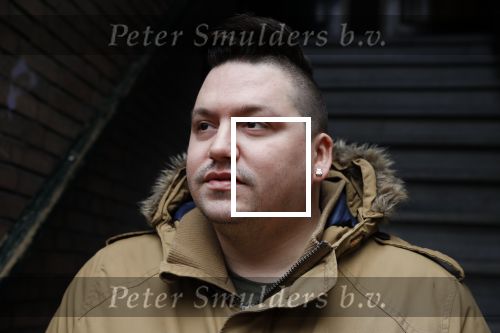 Den Haag 1 februari 2018
Gerrit Beljaards