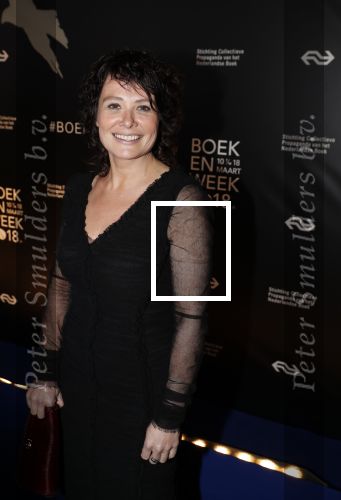 Amsterdam 9 maart 2018 
Boekenbal 2018 in de schouwburg van Amsterdam. Griet op de Beeck