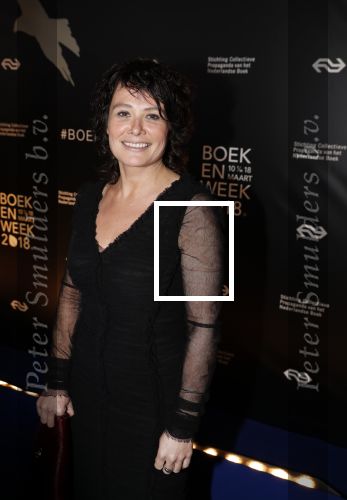 Amsterdam 9 maart 2018 
Boekenbal 2018 in de schouwburg van Amsterdam. Griet op de Beeck