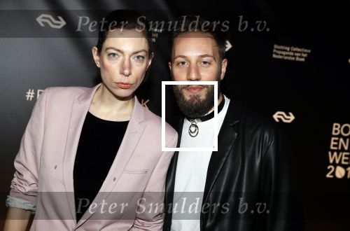 Amsterdam 9 maart 2018 
Boekenbal 2018 in de schouwburg van Amsterdam. Hanna Bervoets met ..