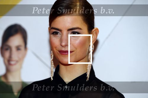 Amsterdam 12 februari 2018
Premiere Gek van Oranje in Tuschinski. hannah Hoekstra en Willem Voogd
