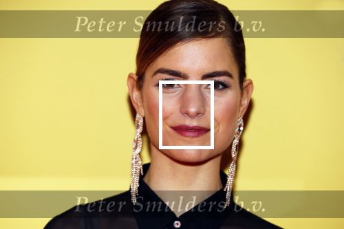 Amsterdam 12 februari 2018
Premiere Gek van Oranje in Tuschinski. hannah Hoekstra en Willem Voogd