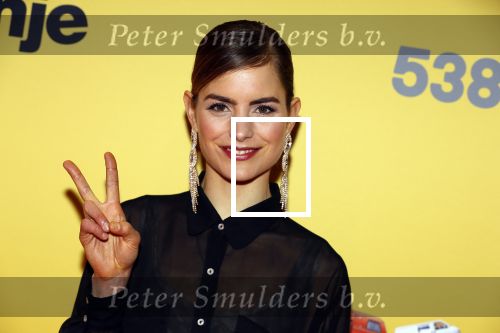 Amsterdam 12 februari 2018
Premiere Gek van Oranje in Tuschinski. hannah Hoekstra en Willem Voogd