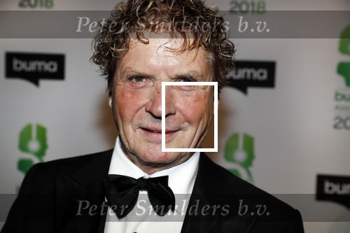 Amsterdam 5 maart 2018 
Buma prijzen in theater Amsterdam. Hans v Hemert met partner