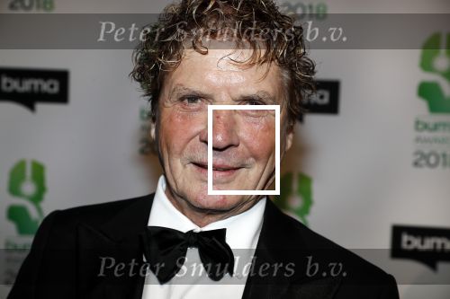 Amsterdam 5 maart 2018 
Buma prijzen in theater Amsterdam. Hans v Hemert met partner