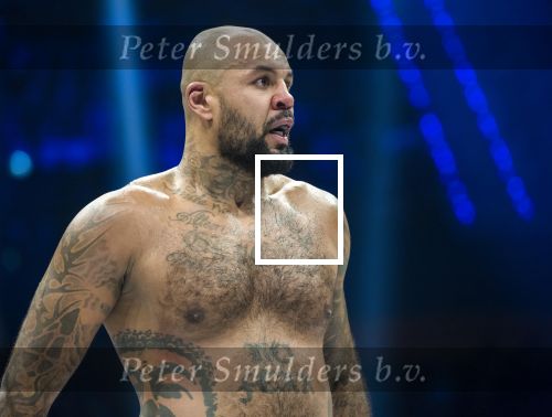 Rotterdam 03-03-2018 
Badr Harie vs Hesdy Gerges - GLORY 51 SuperFight