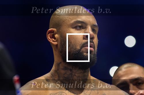 Rotterdam 03-03-2018 
Badr Harie vs Hesdy Gerges - GLORY 51 SuperFight
