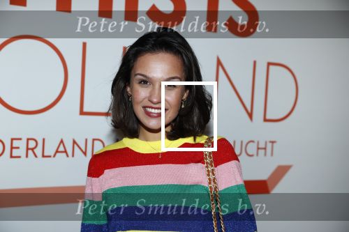 Amsterdam 1 februari 2018 
Opening This is Holland. Holly Brood en Ferry Doedens