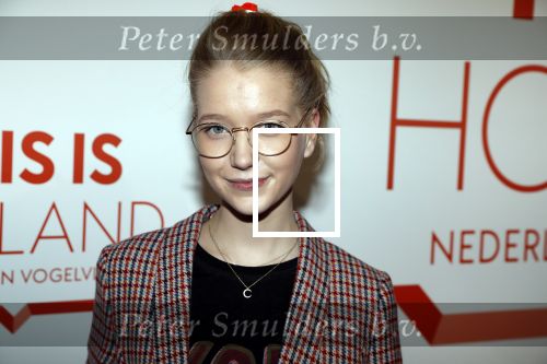 Amsterdam 1 februari 2018 
Opening This is Holland. Imke van Leeuwen