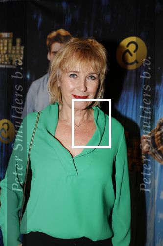 Amsterdam 5 februari 2018
Premiere van the full monty in het nieuwe de la mar theater. Inge Ipenburg met een kennis