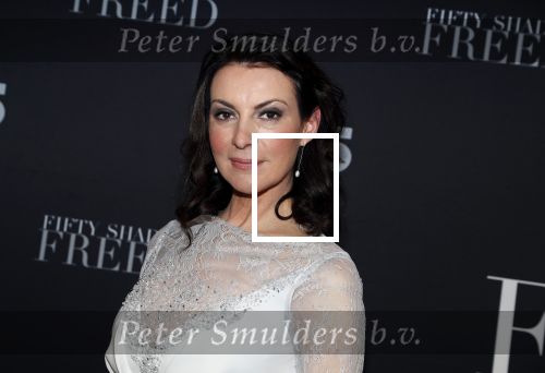 Amsterdam 6 februari 2018
Premiere 50 shades Freed in Tuschinski. irene v d Laar