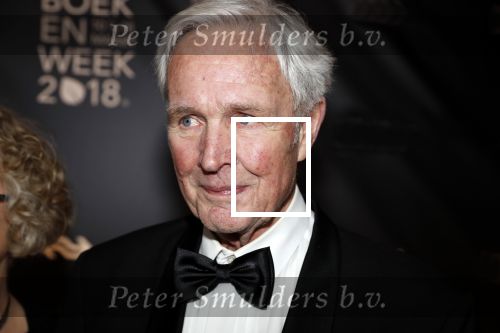Amsterdam 9 maart 2018 
Boekenbal 2018 in de schouwburg van Amsterdam.
Jan Terlouw kwam met zijn dochter