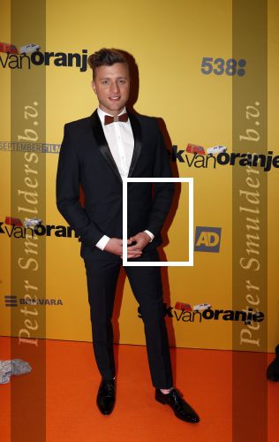 Amsterdam 12 februari 2018
Premiere Gek van Oranje in Tuschinski. jan Versteegh en Geraldine Kemper