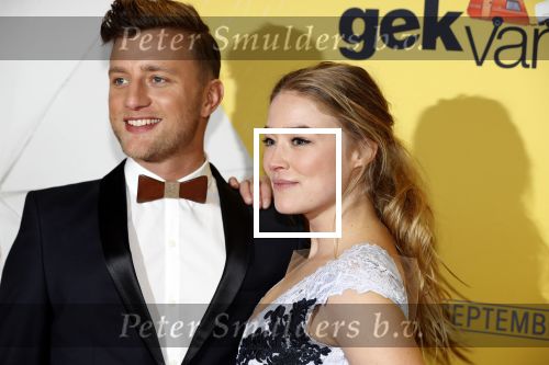 Amsterdam 12 februari 2018
Premiere Gek van Oranje in Tuschinski. jan Versteegh en Geraldine Kemper