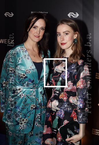 Amsterdam 9 maart 2018 
Boekenbal 2018 in de schouwburg van Amsterdam. Janine Abbring  met ..