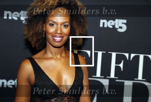Amsterdam 6 februari 2018
Premiere 50 shades Freed in Tuschinski. Jasmine Sendar