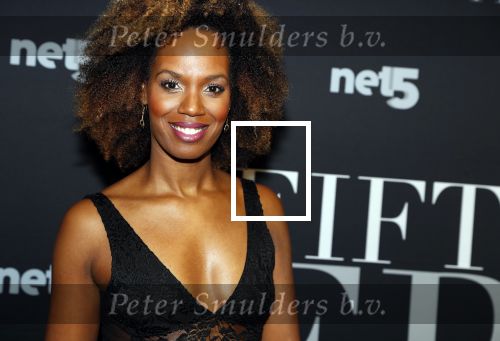 Amsterdam 6 februari 2018
Premiere 50 shades Freed in Tuschinski. Jasmine Sendar