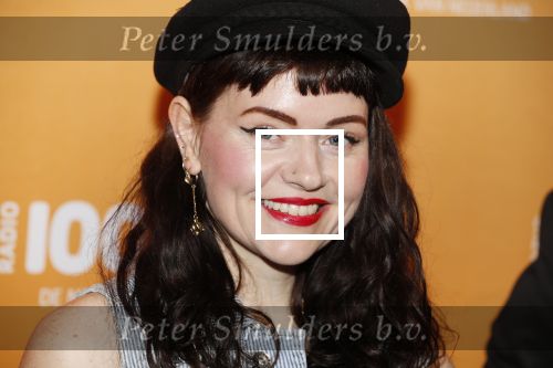 Amsterdam 20 februari 2018
Uitreiking 100% NL awards in club Panama. Jennie Lena