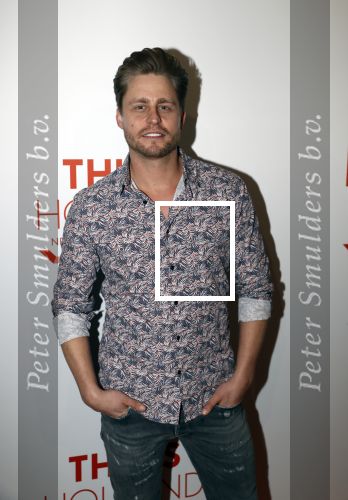 Amsterdam 1 februari 2018 
Opening This is Holland. JoÃ«l de Tombe