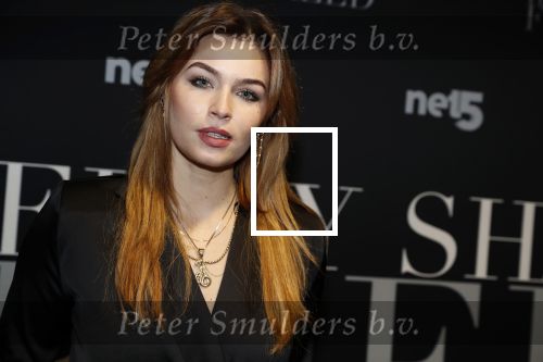 Amsterdam 6 februari 2018
Premiere 50 shades Freed in Tuschinski.
 Joelle Witschge en Soundos el Ahmadi