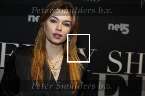 Amsterdam 6 februari 2018
Premiere 50 shades Freed in Tuschinski.
 Joelle Witschge en Soundos el Ahmadi