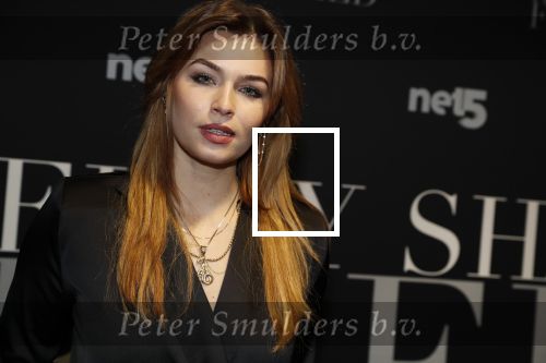 Amsterdam 6 februari 2018
Premiere 50 shades Freed in Tuschinski.
 Joelle Witschge en Soundos el Ahmadi