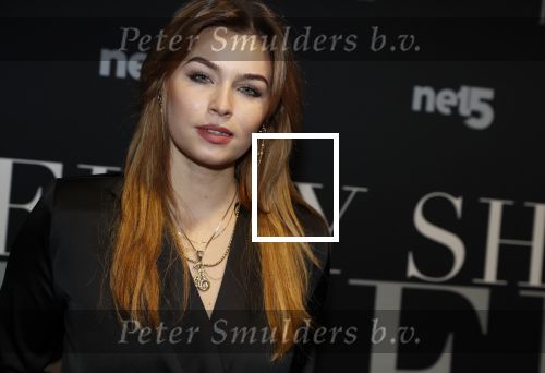 Amsterdam 6 februari 2018
Premiere 50 shades Freed in Tuschinski.
 Joelle Witschge en Soundos el Ahmadi