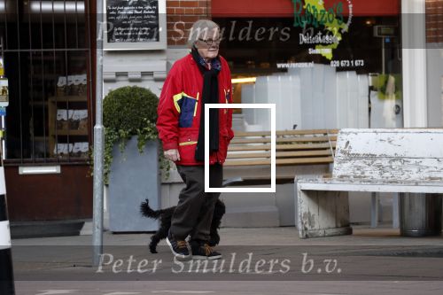 Amsterdam 23 februari 2018 
John v d Rest wandelend met zijn hond
