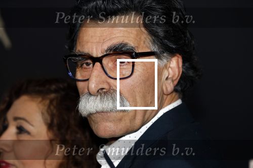 Amsterdam 9 maart 2018 
Boekenbal 2018 in de schouwburg van Amsterdam. Kader Abdolah met partner