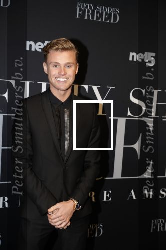 Amsterdam 6 februari 2018
Premiere 50 shades Freed in Tuschinski. kaj v d Voort