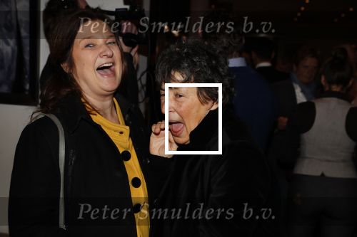 Amsterdam 5 februari 2018
Premiere van the full monty in het nieuwe de la mar theater. Karin Riethoven met Heddy Lester