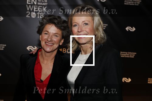 Amsterdam 9 maart 2018 
Boekenbal 2018 in de schouwburg van Amsterdam.
Kasja Ollongren kwam met partner irene v d Brekel