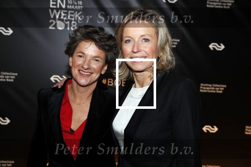 Amsterdam 9 maart 2018 
Boekenbal 2018 in de schouwburg van Amsterdam.
Kasja Ollongren kwam met partner irene v d Brekel